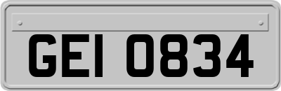 GEI0834