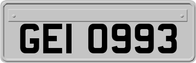 GEI0993