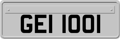 GEI1001