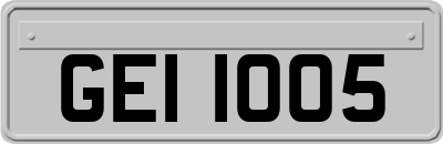 GEI1005