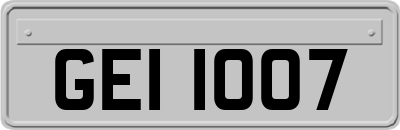 GEI1007