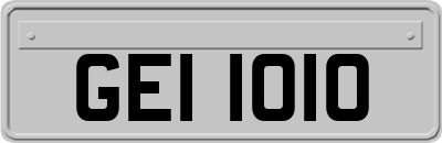GEI1010