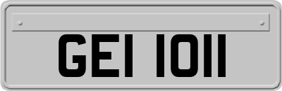 GEI1011