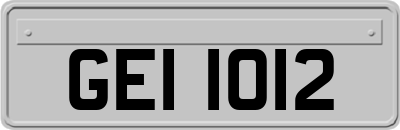 GEI1012