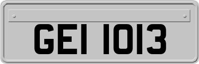 GEI1013