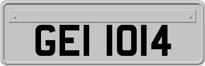 GEI1014