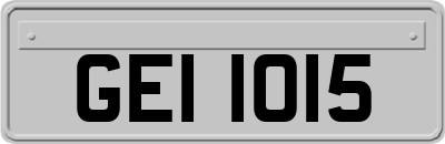 GEI1015