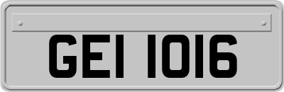 GEI1016