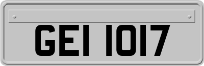 GEI1017