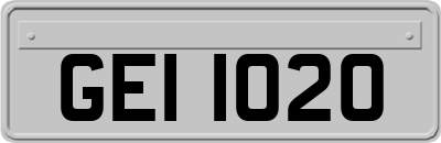 GEI1020