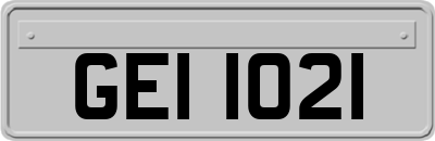 GEI1021
