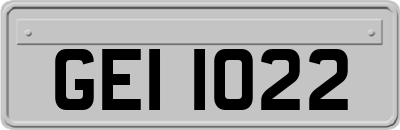 GEI1022