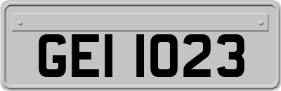 GEI1023
