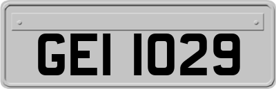 GEI1029
