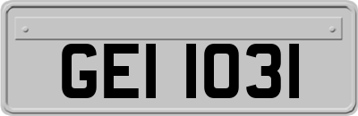 GEI1031