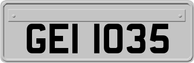 GEI1035