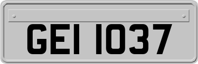 GEI1037