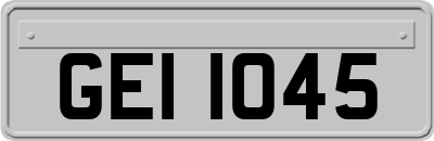 GEI1045