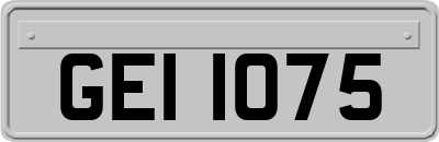 GEI1075