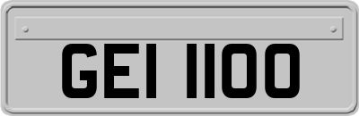 GEI1100