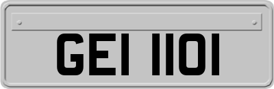 GEI1101