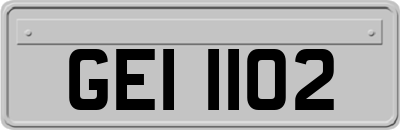 GEI1102