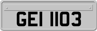 GEI1103