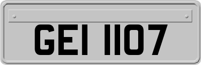 GEI1107