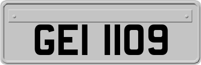 GEI1109