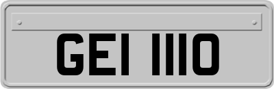 GEI1110