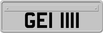 GEI1111