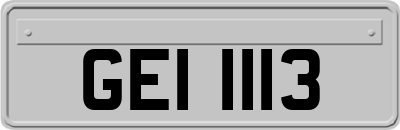 GEI1113