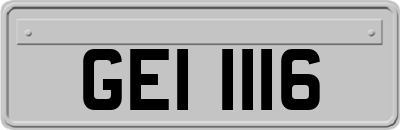 GEI1116
