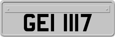 GEI1117