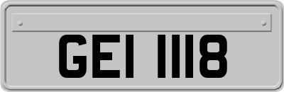 GEI1118