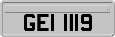 GEI1119