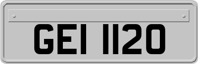 GEI1120