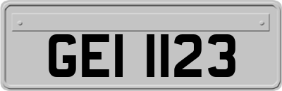 GEI1123