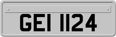 GEI1124