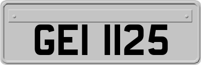 GEI1125