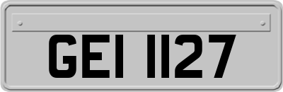 GEI1127