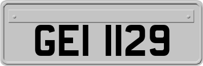 GEI1129