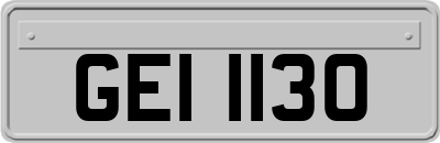 GEI1130