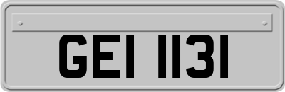 GEI1131