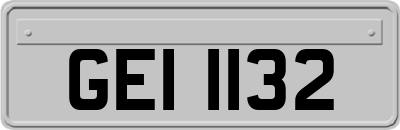 GEI1132