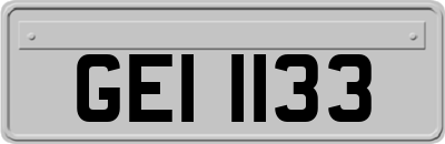 GEI1133