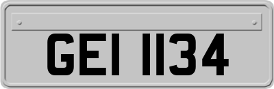 GEI1134