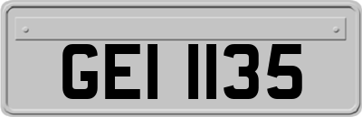 GEI1135