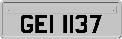 GEI1137