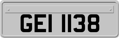 GEI1138